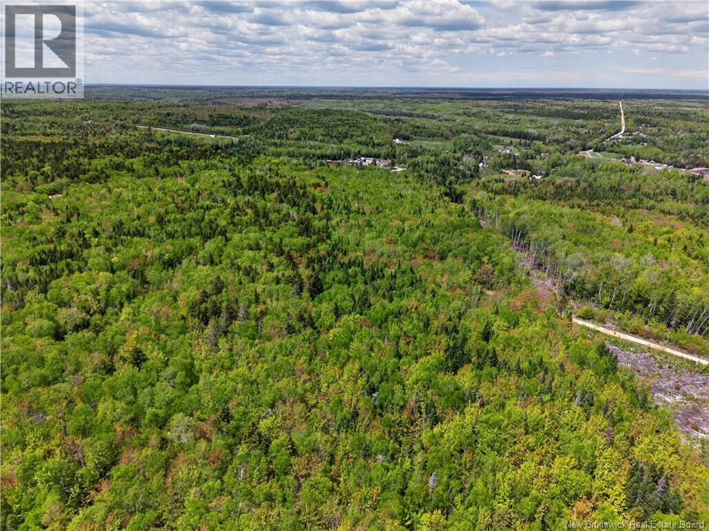 517 Route 11 Hwy - 42