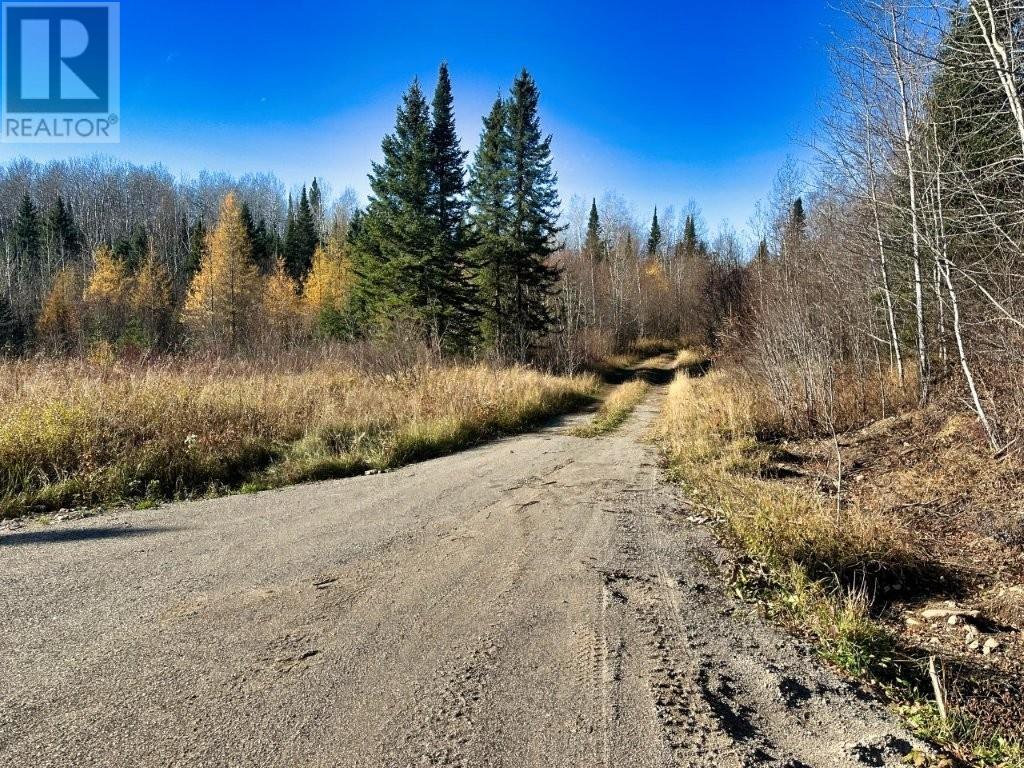 515 Portage Creek RD - 48