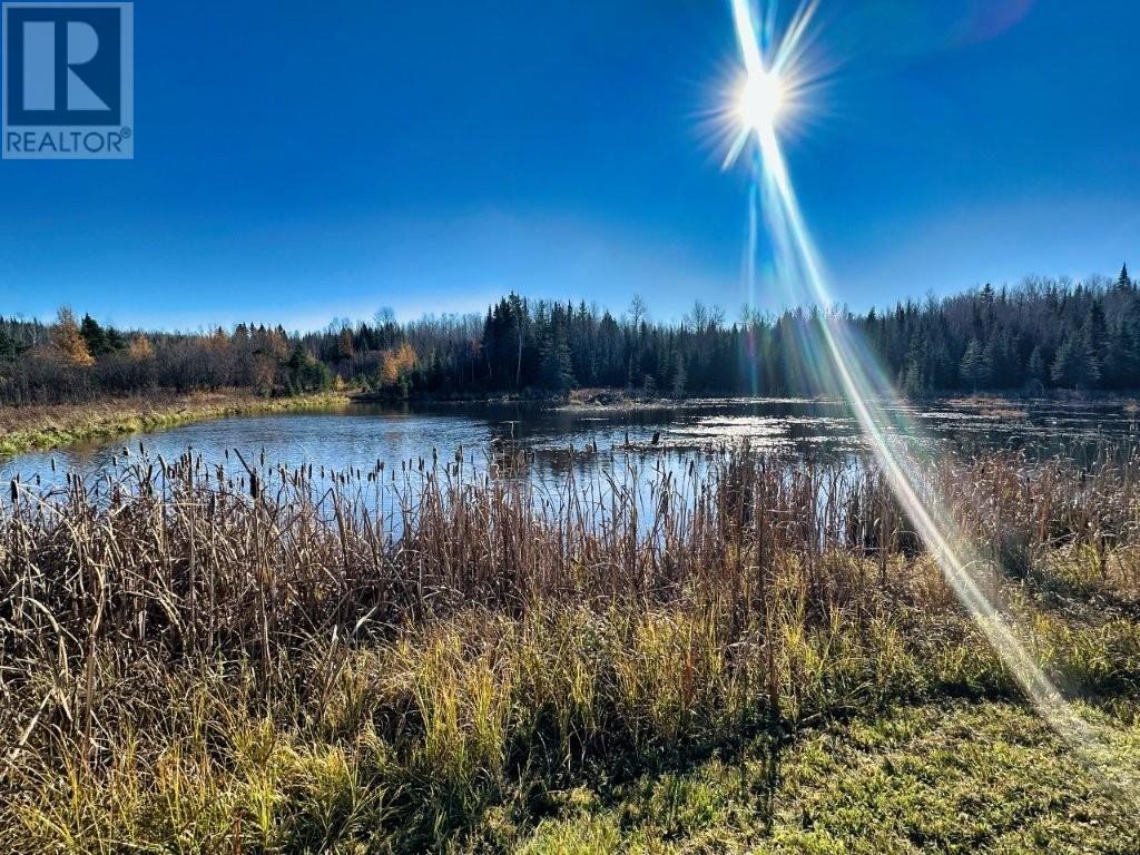 515 Portage Creek RD - 32