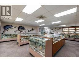 223 Christina Street North, Sarnia, ON N7T5V1 Photo 24