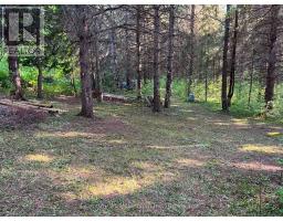 627383 15 Side Road, Mulmur, ON L0N1M0 Photo 10