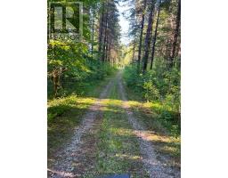 627383 15 Side Road, Mulmur, ON L0N1M0 Photo 7