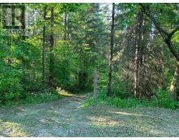 627383 15 Side Road, Mulmur, ON L0N1M0 Photo 6