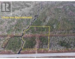 Lot Highway 103, Birchtown, NS B0T1W0 Photo 12