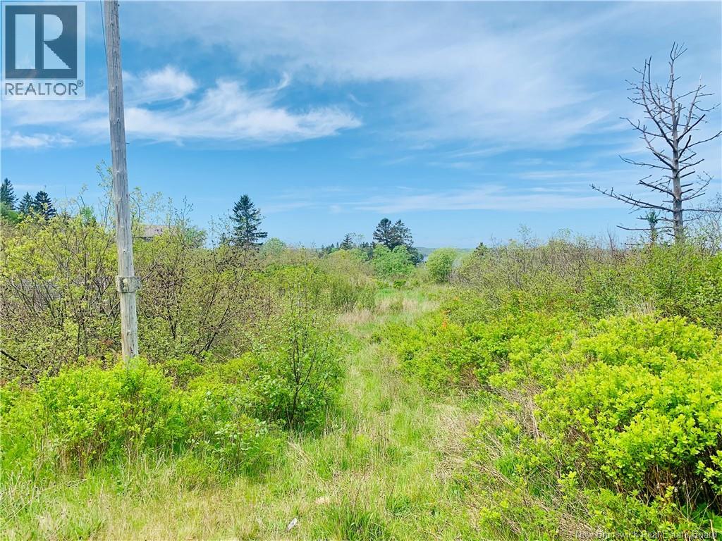 183 Narrows Road
