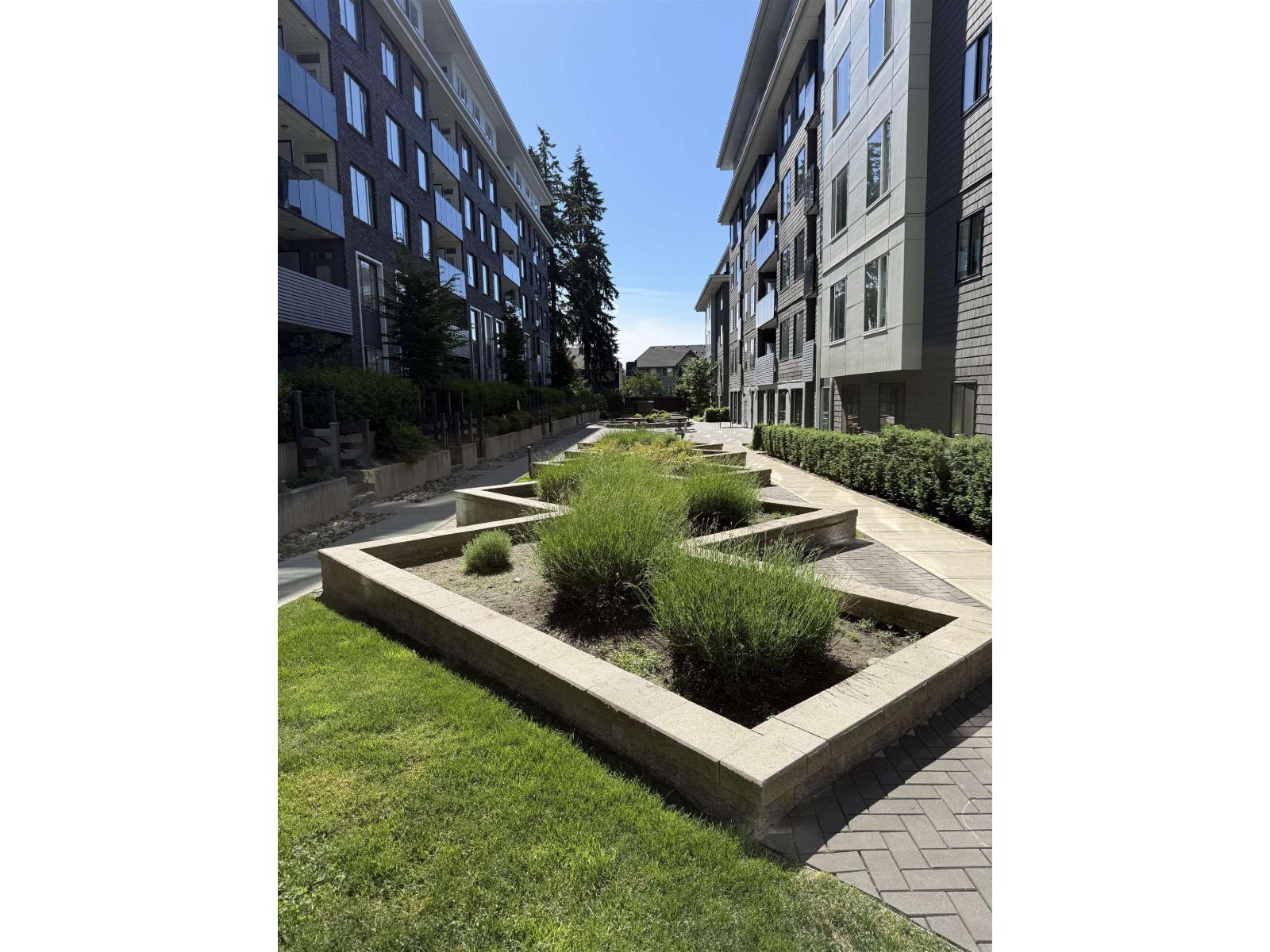 1 Bed, 1 Bath Condo for Rent in Surrey – 308 15848 FRASER HIGHWAY, Surrey – MLS# R3131651 - Image 7