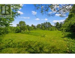2904 Shelter Valley Road, Alnwick/haldimand, ON K0K2G0 Photo 39