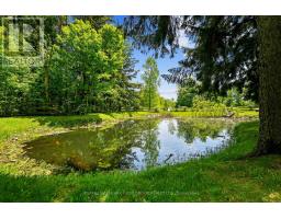 2904 Shelter Valley Road, Alnwick/haldimand, ON K0K2G0 Photo 43