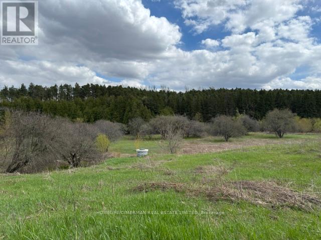 937054 AIRPORT ROAD, Mulmur — photo 2