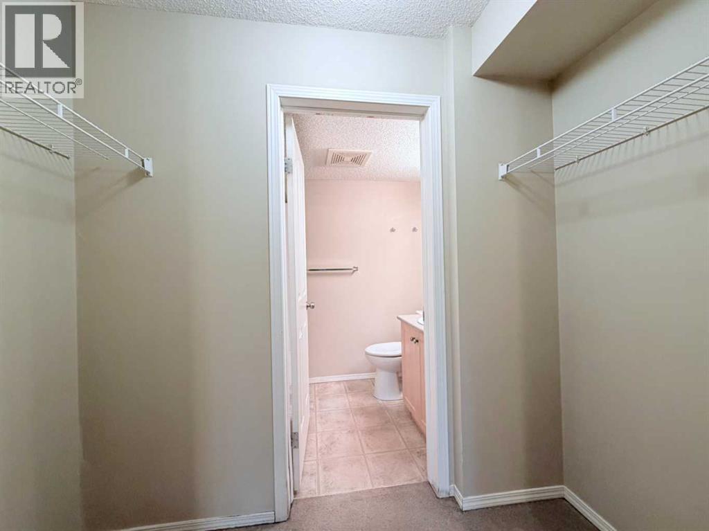 #2139 8 Bridlecrest Drive SW - 19