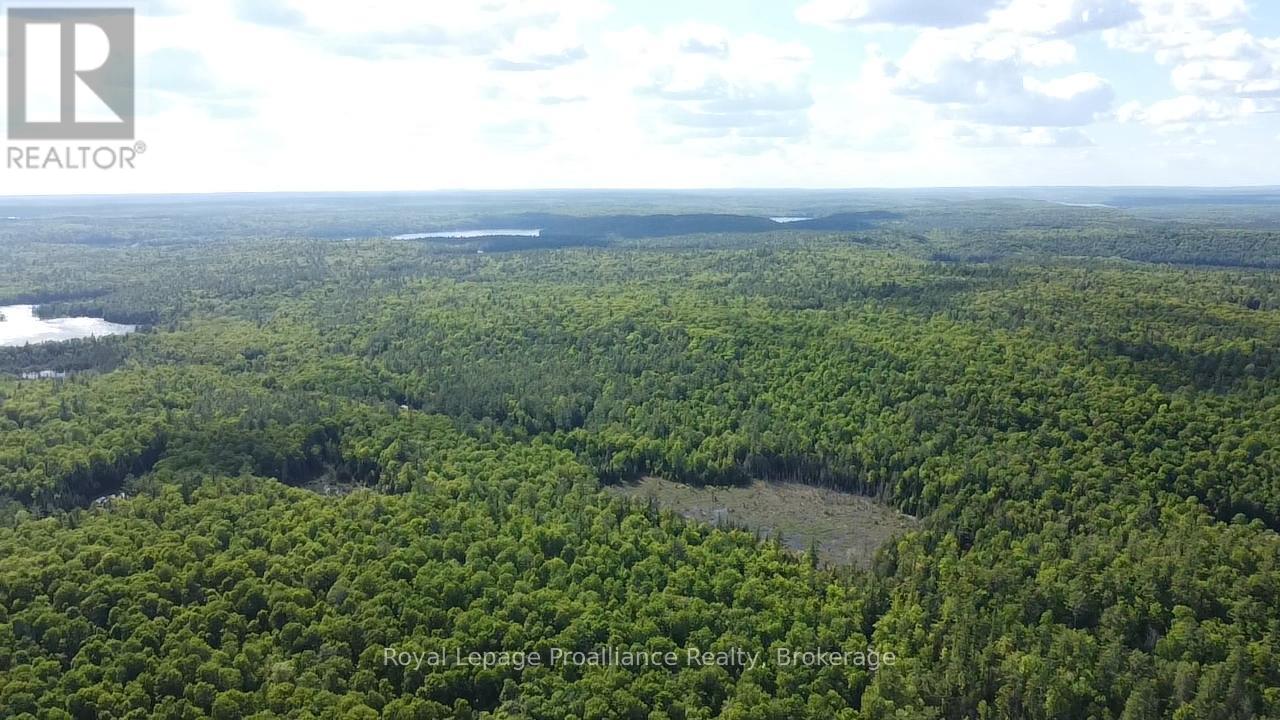 C8 Pt L2 Con 8 Pt Lot 22 — photo 18
