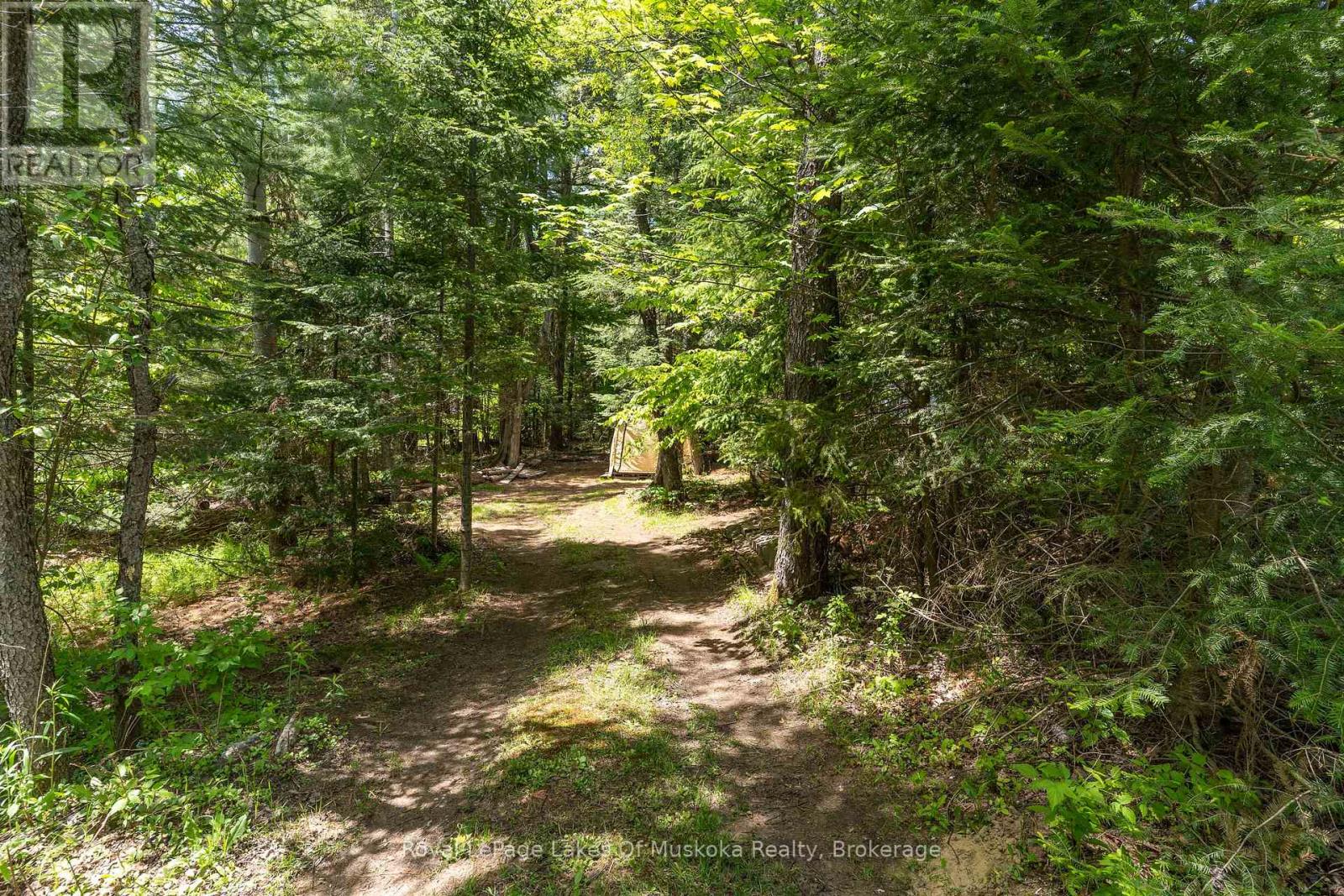 244 SOUTH MARY LAKE ROAD - 20