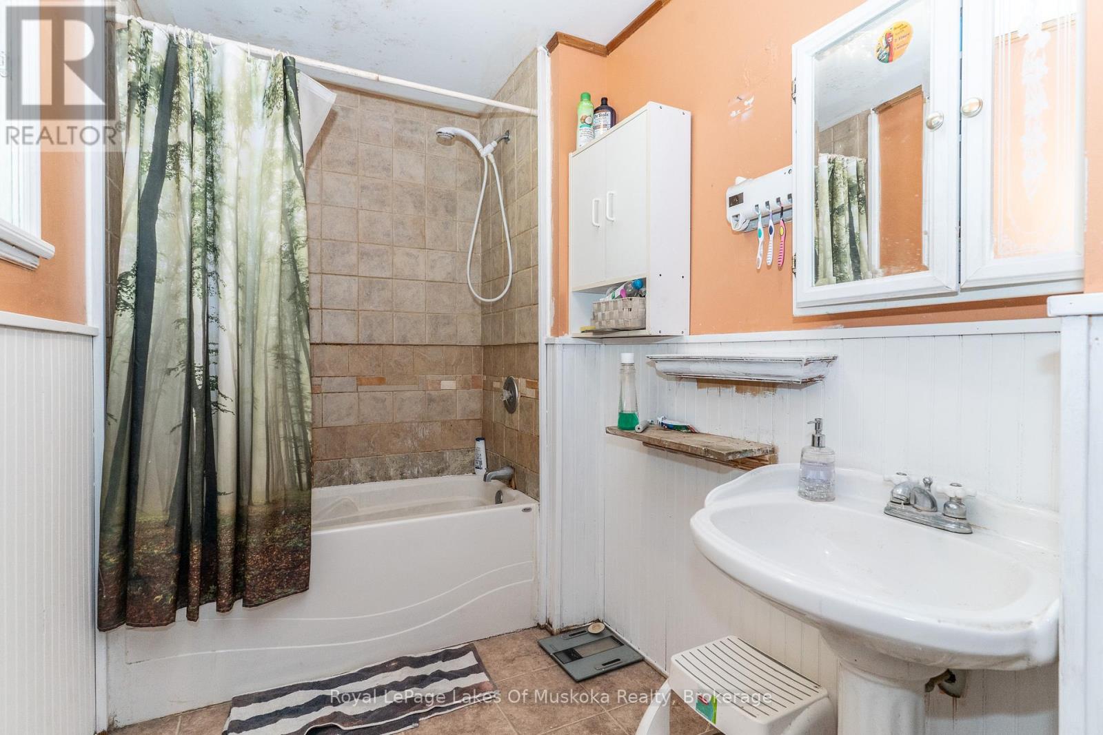 244 SOUTH MARY LAKE ROAD - 35