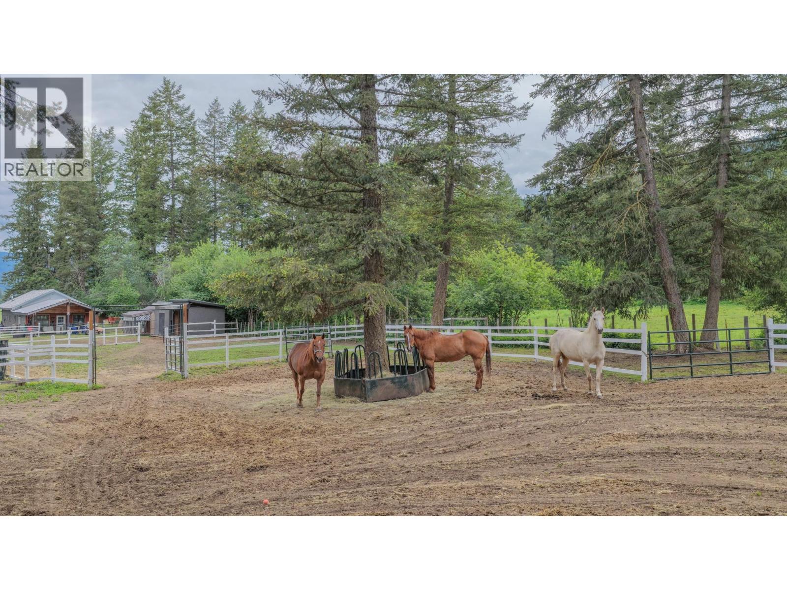 272 Lumby Mabel Lake Road - 45