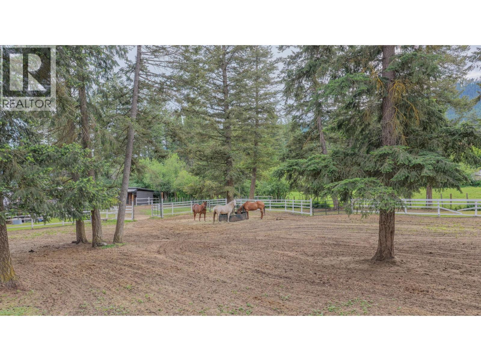 272 Lumby Mabel Lake Road - 5