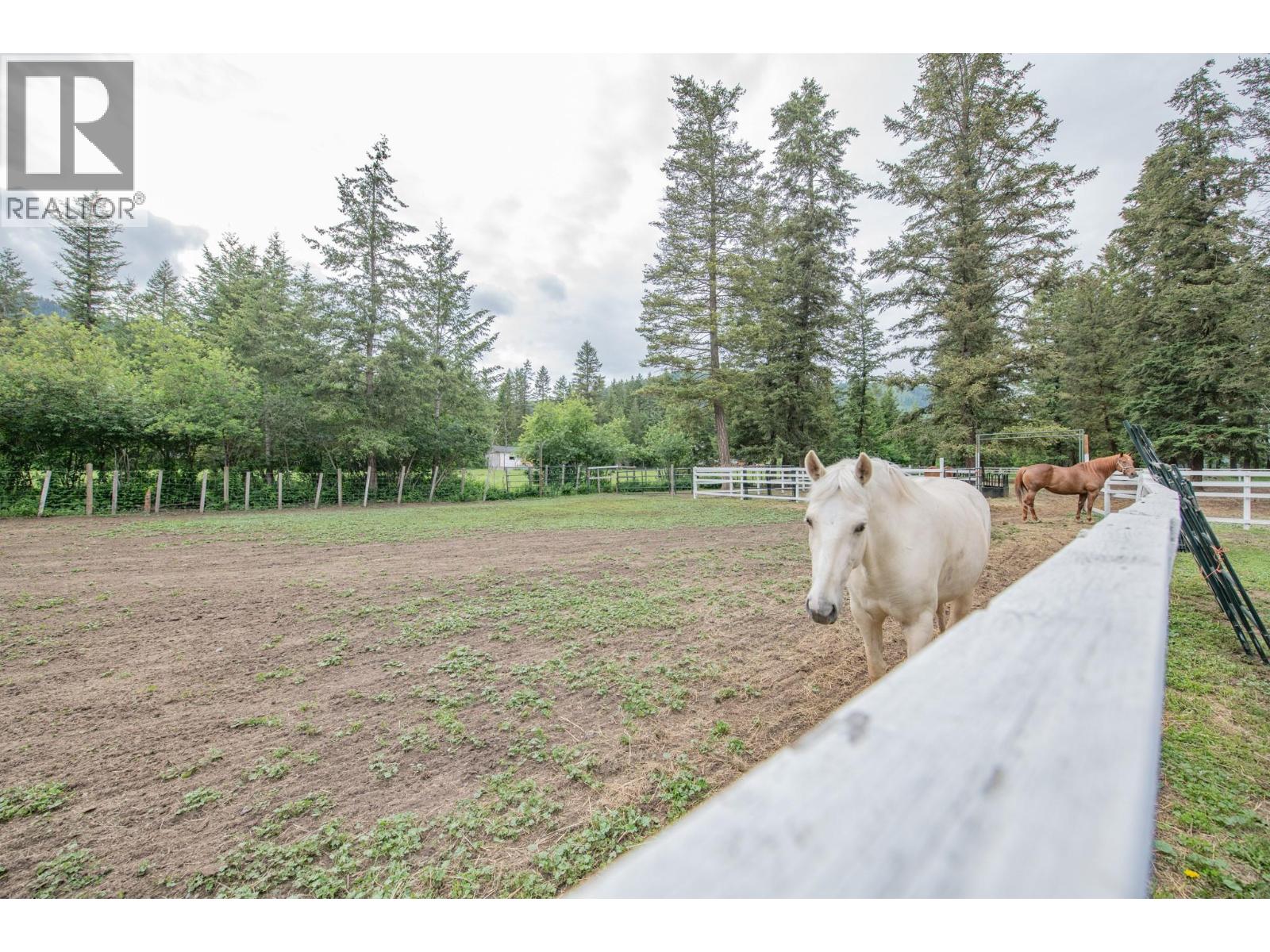 272 Lumby Mabel Lake Road - 51