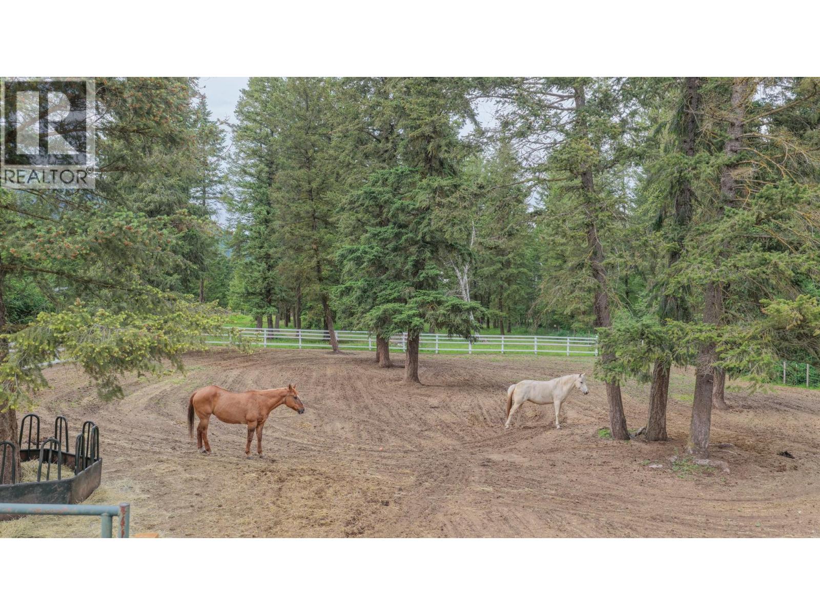 272 Lumby Mabel Lake Road - 53
