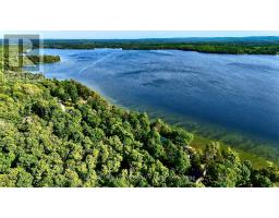 491 Jessup Road, North Algona Wilberforce, ON K0J1T0 Photo 22