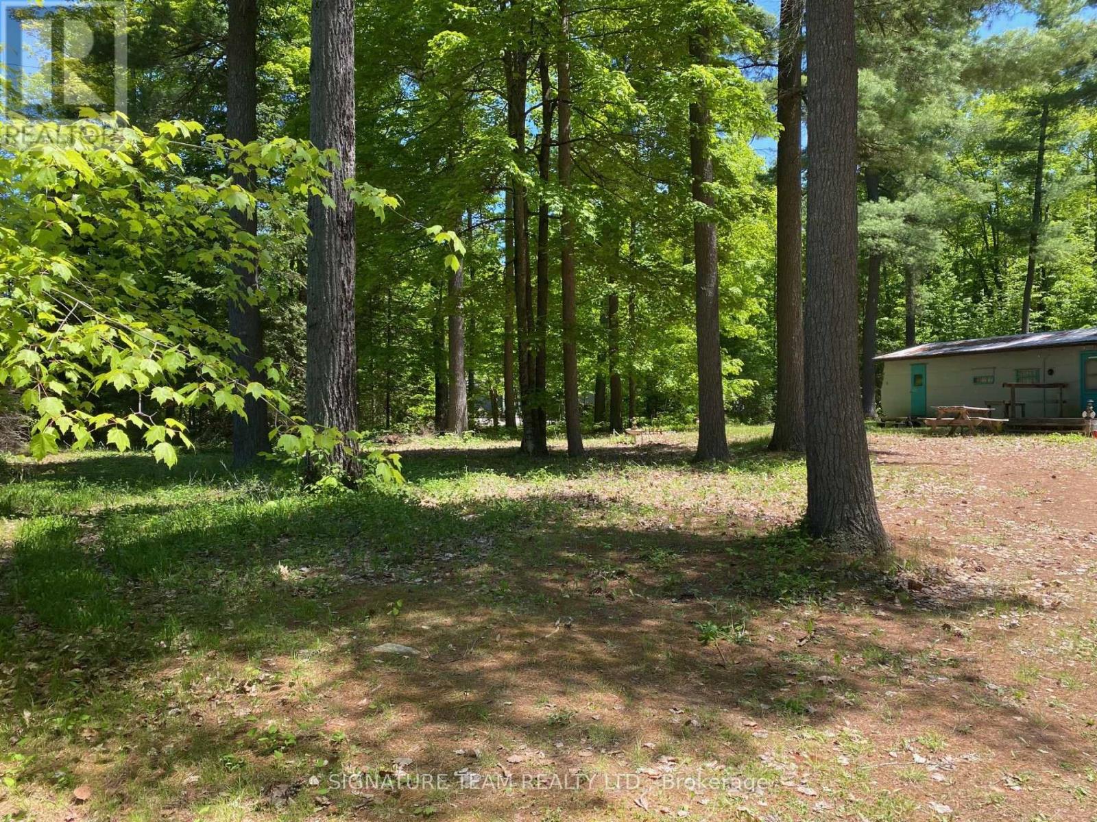 491 JESSUP ROAD - 6