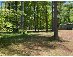 491 Jessup Road, North Algona Wilberforce, ON K0J1T0 Photo 6