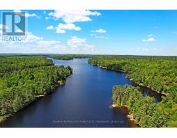 110 Rosebrugh Road, Greater Madawaska, ON K7V3Z9 Photo 38