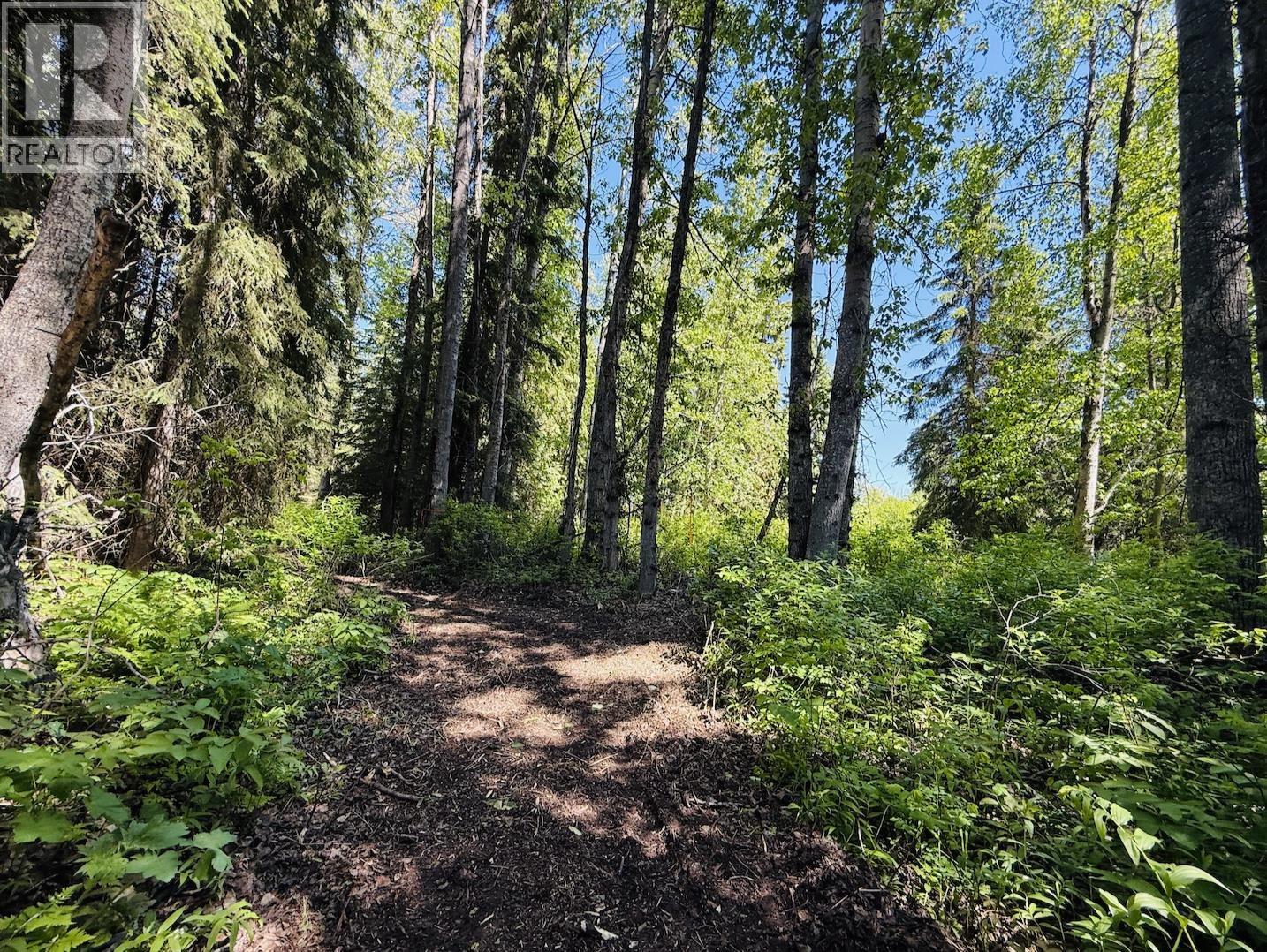 1 3000 DAHLIE ROAD, Smithers