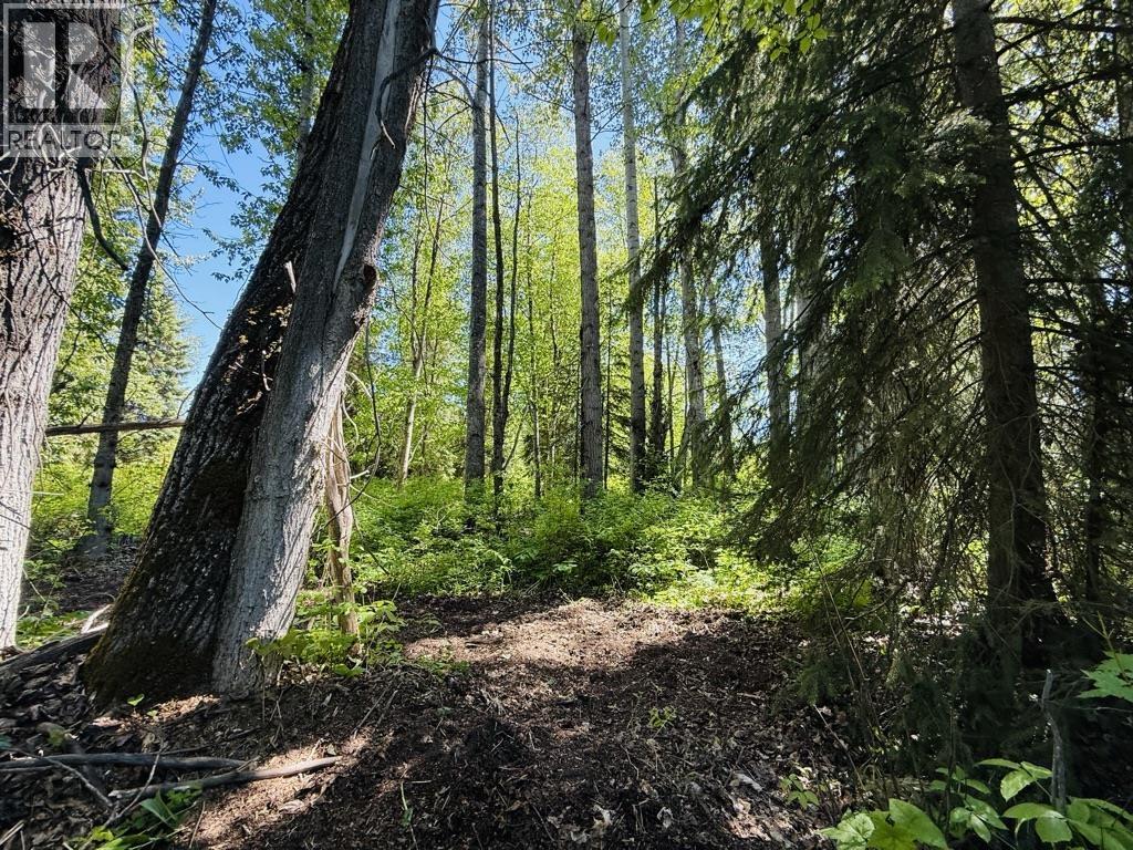 1 3000 DAHLIE ROAD, Smithers