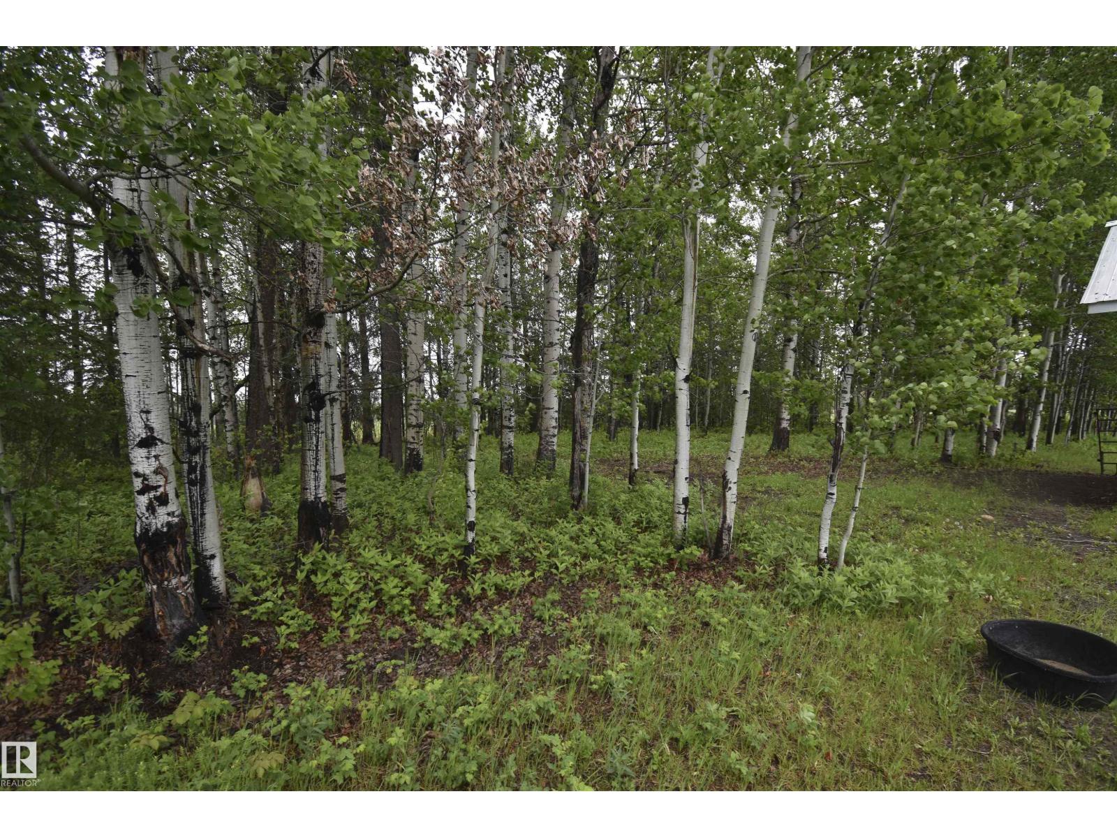 50120 Range Road 80 — photo 24