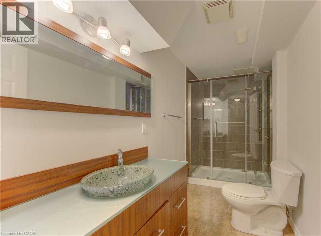 435 SPECKLED ALDER Street - 25