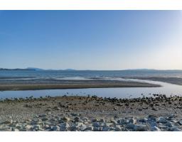 203 1160 Oxford Street, White Rock, BC V4B0B3 Photo 17