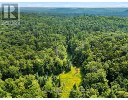 3529 Highway 118 E, Bracebridge, ON P1L1X1 Photo 16