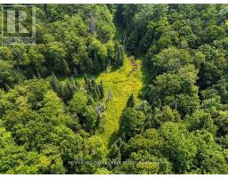 3529 Highway 118 E, Bracebridge, ON P1L1X1 Photo 18