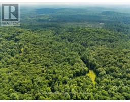 3529 Highway 118 E, Bracebridge, ON P1L1X1 Photo 25