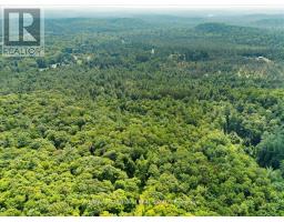 3529 Highway 118 E, Bracebridge, ON P1L1X1 Photo 26