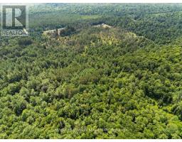 3529 Highway 118 E, Bracebridge, ON P1L1X1 Photo 29