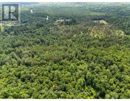 3529 Highway 118 E, Bracebridge, ON P1L1X1 Photo 30