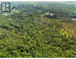 3529 Highway 118 E, Bracebridge, ON P1L1X1 Photo 32