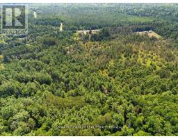 3529 Highway 118 E, Bracebridge, ON P1L1X1 Photo 33