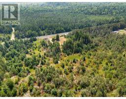 3529 Highway 118 E, Bracebridge, ON P1L1X1 Photo 34