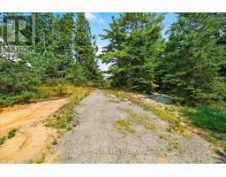 Primary Bedroom - 3529 Highway 118 E, Bracebridge, ON P1L1X1 Photo 7