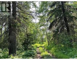 The Woodlands, Iroquois Lake, SK S0J2G0 Photo 15
