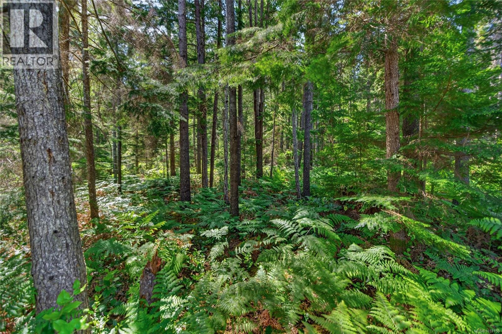 657 Sierra Pines Rd - 62
