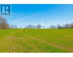 Pt Lot 7 Con 9 Tintern Road, Lincoln, ON L0R2C0 Photo 16