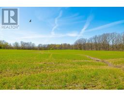Pt Lot 7 Con 9 Tintern Road, Lincoln, ON L0R2C0 Photo 25