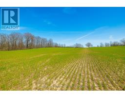 Pt Lot 7 Con 9 Tintern Road, Lincoln, ON L0R2C0 Photo 6