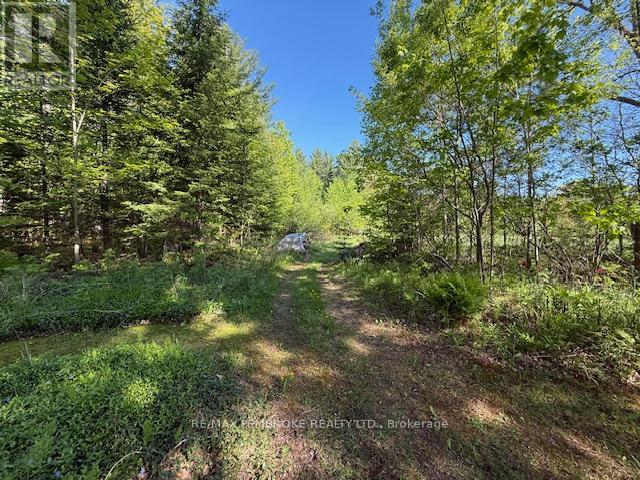 410 GREEN LAKE ROAD - 37