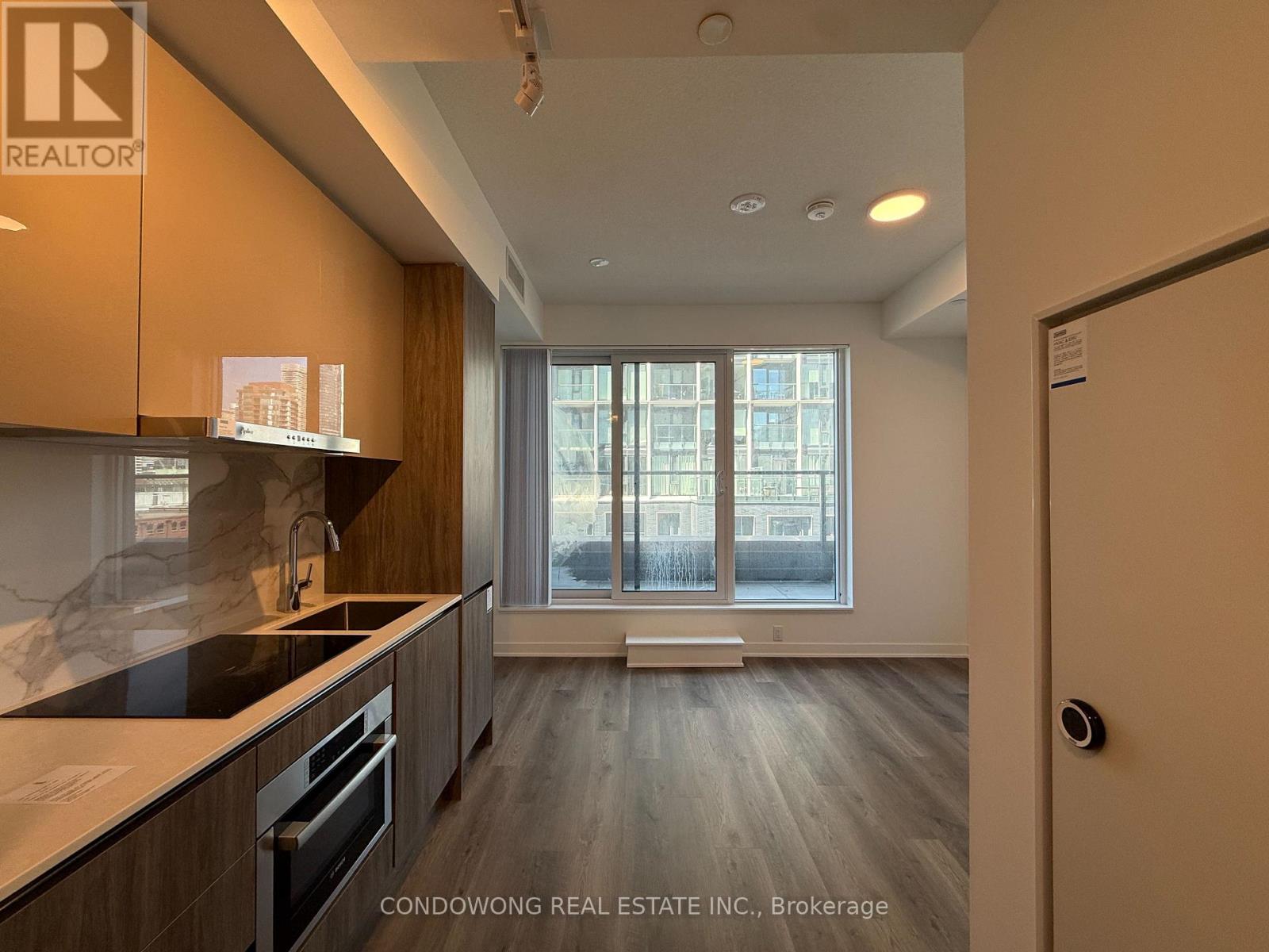 Luxurious High End Kitchen