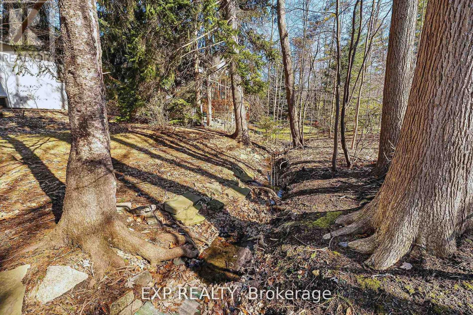 1252 MONA ROAD - 9