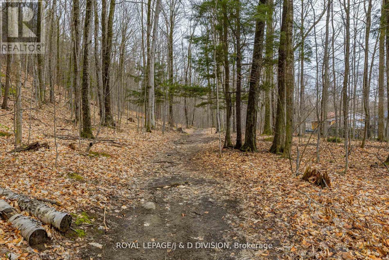 123 DESROCHES TRAIL - 32