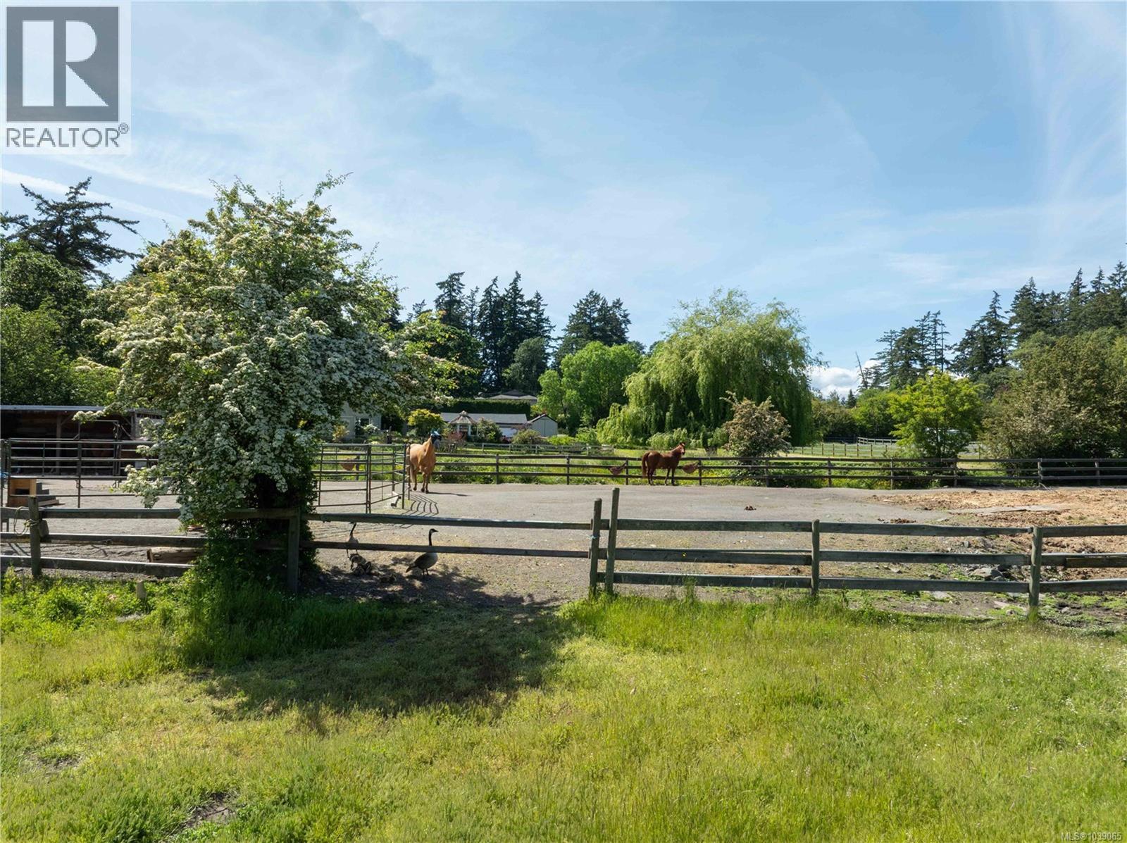  1568 Burnside Road West, Saanich